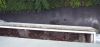 Balcon_1er_5.jpg