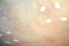 Plafond8.jpg