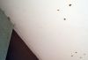 plafond_8eme_1.jpg