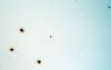 plafond_8eme_5.jpg
