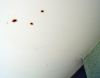 plafond_8eme_8.jpg